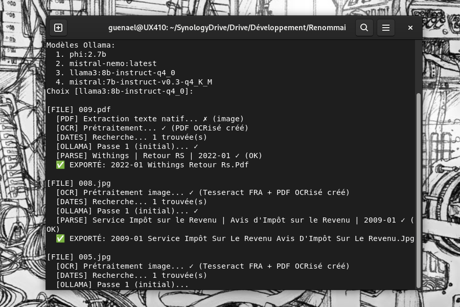 Le script Renommai vibecodé